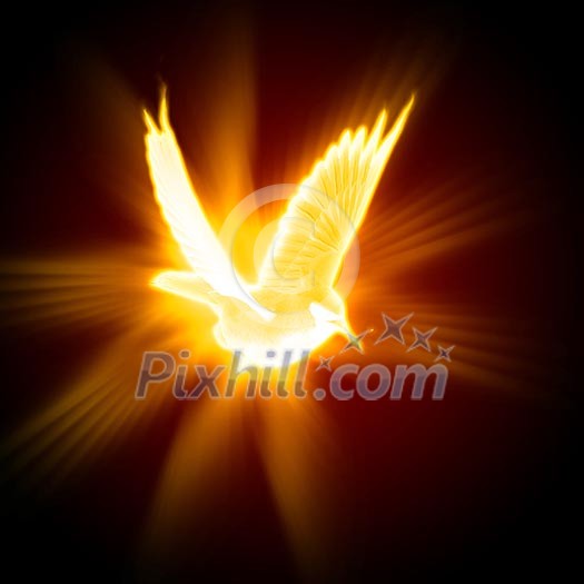 light and fire silhouette of a bird against dark background