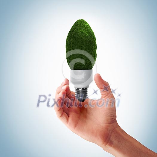 green bulb as symbol of sustainable energy and nature protection green bulb as symbol of sustainable energy and nature protection