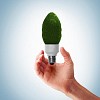 green bulb as symbol of sustainable energy and nature protection