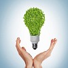 green bulb as symbol of sustainable energy and nature protection