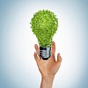 green bulb as symbol of sustainable energy and nature protection