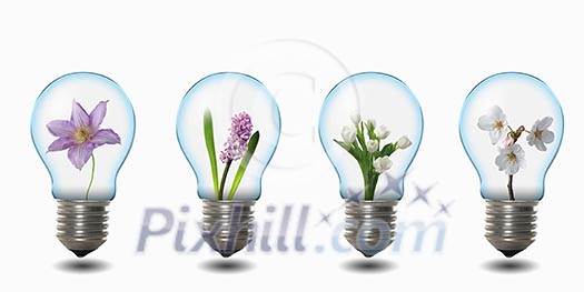 four light bulbs with nature simbols inside four light bulbs with nature simbols inside