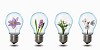 four light bulbs with nature simbols inside