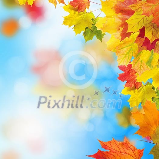 Red and yellow leaves against a bright blue sky. Bokeh effect. Red and yellow leaves against a bright blue sky. Bokeh effect.