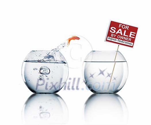 gold fish in a fishbowl with sign of sale