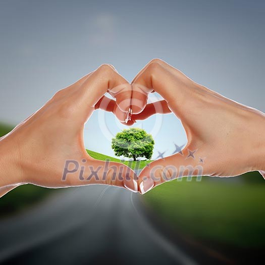 Collage with human hand holding a green plant Collage with human hand holding a green plant