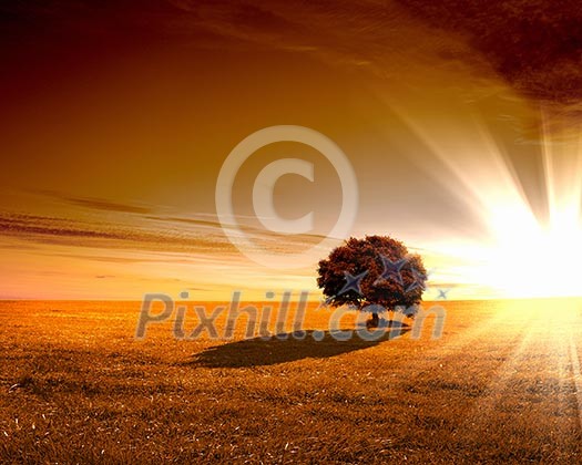 Image of a rural landscape under shining sunlight Image of a rural landscape under shining sunlight
