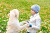 Boy playing in autumn park with a golden retriever.