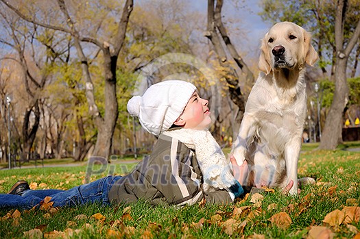 Boy playing in autumn park with a golden retriever. Boy playing in autumn park with a golden retriever.
