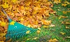 Autumn leaves on grass and a rake