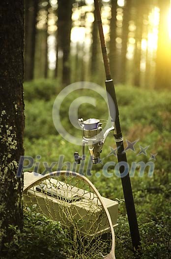 Fishing equipment in the forest Fishing equipment in the forest