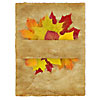 Autumn leaves on the oled paper
