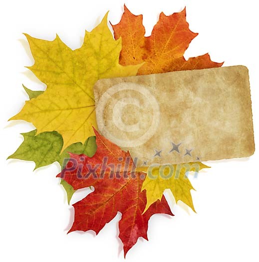 Old paper surrounded by maple leaves Old paper surrounded by maple leaves