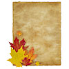Old paper with maple leaf decoration 