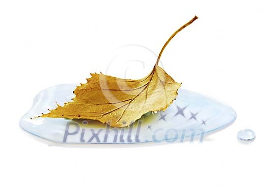 Birch leaf on a waterdrop Birch leaf on a waterdrop