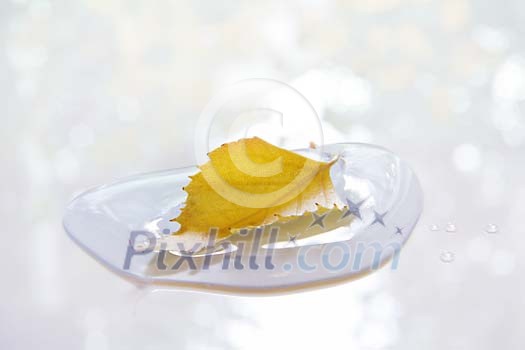 Birch leaf floating on a waterdrop Birch leaf floating on a waterdrop