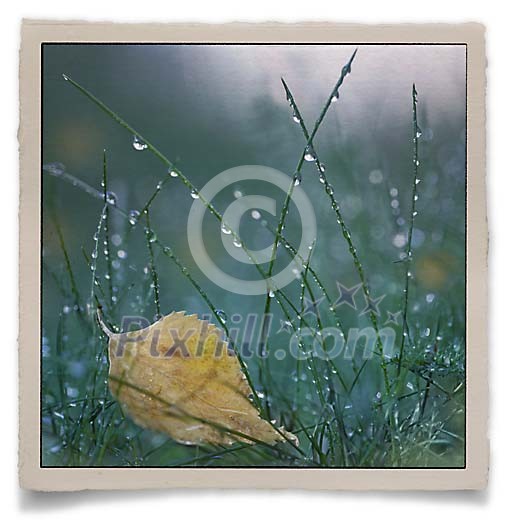 Autumn postcard background Autumn postcard background