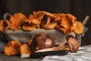 Selection of freshly collected chanterelle and porcini mushrooms