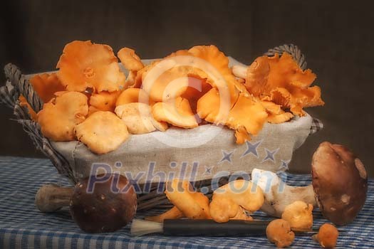Chanterelle and Porcini mushrooms on table Chanterelle and Porcini mushrooms on table