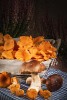 Freshly picked Chantarelle and Boletus mushrooms