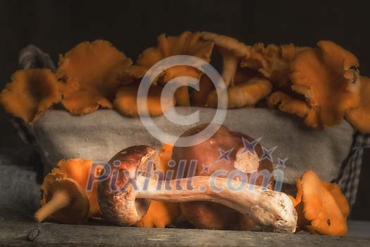 Fresh Chantarelle and Porcini mushrooms Fresh Chantarelle and Porcini mushrooms