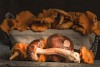 Fresh Chantarelle and Porcini mushrooms