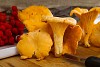 Fresh chanterelles