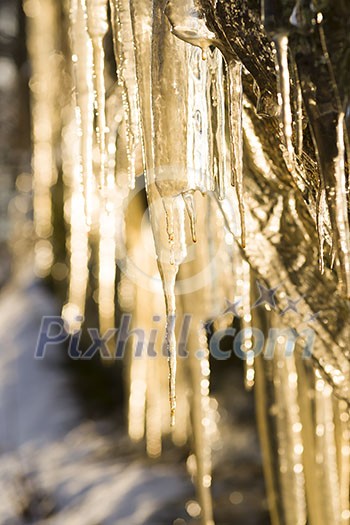 Sparkling icicles bakcground Sparkling icicles bakcground