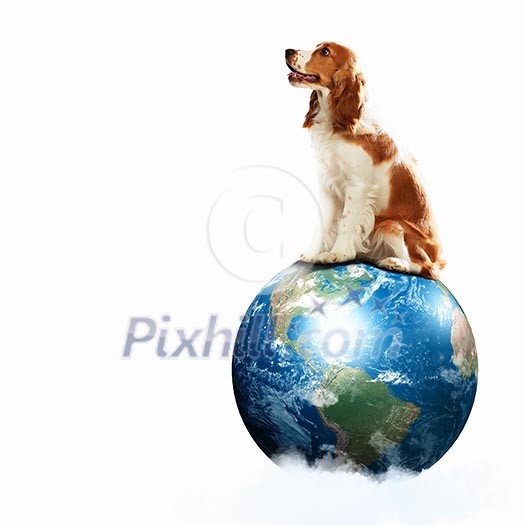 Dog with the Earth planet. Funny collage. Elements of this image are furnished by NASA