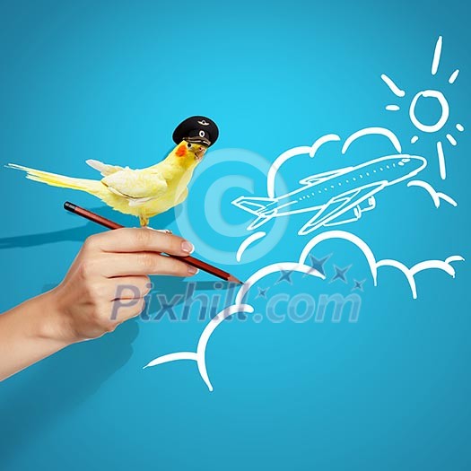 Image of funny parrot in funny hat Image of funny parrot in funny hat