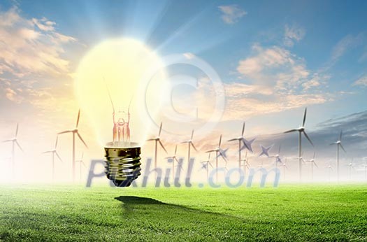 Image of light bulb against nature background. Ecological concept