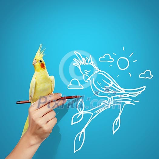 Image of parrot sitting on human hand Image of parrot sitting on human hand