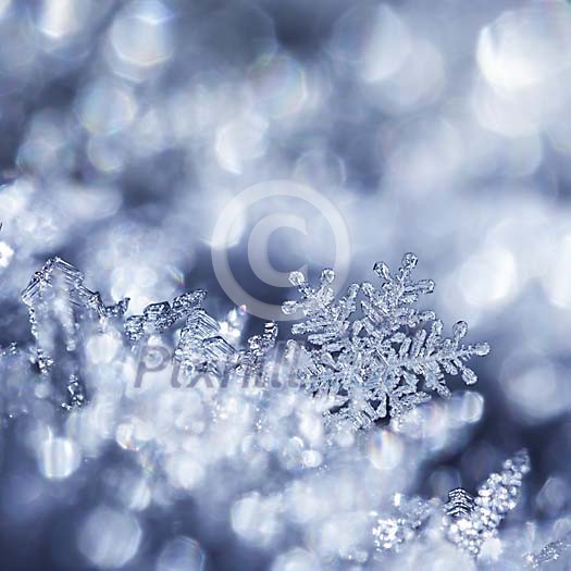 Digital composite of snowflakes and winter frost