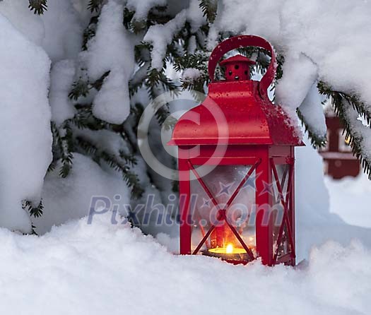 A red lantern under a snowy tree