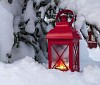 A red lantern under a snowy tree