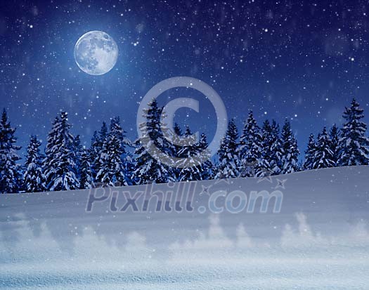 A snowy night in a winter landscape with snow covered trees and moonlight