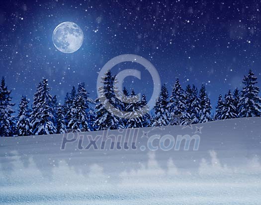 A snowy night in a winter landscape with snow covered trees and moonlight A snowy night in a winter landscape with snow covered trees and moonlight
