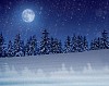 A snowy night in a winter landscape with snow covered trees and moonlight