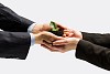 Close up of businessmen hands with sprout in palms