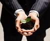 Close up of businessman hands with sprout in palms