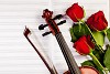 Red roses and a violin on the table