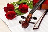 Red roses and a violin on the table