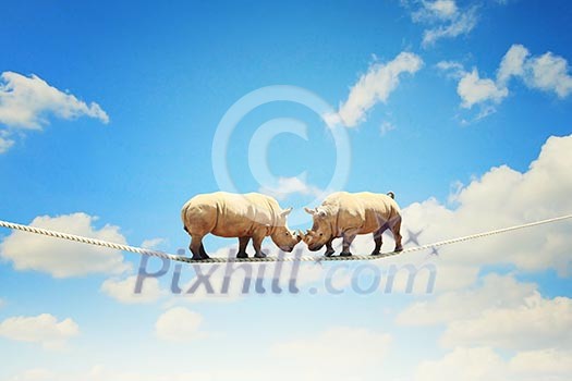 Image of two rhino struggling on rope high in sky