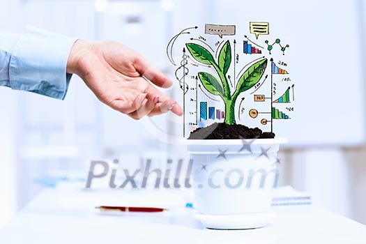 Close-up image of human hand and pot with money tree Close-up image of human hand and pot with money tree