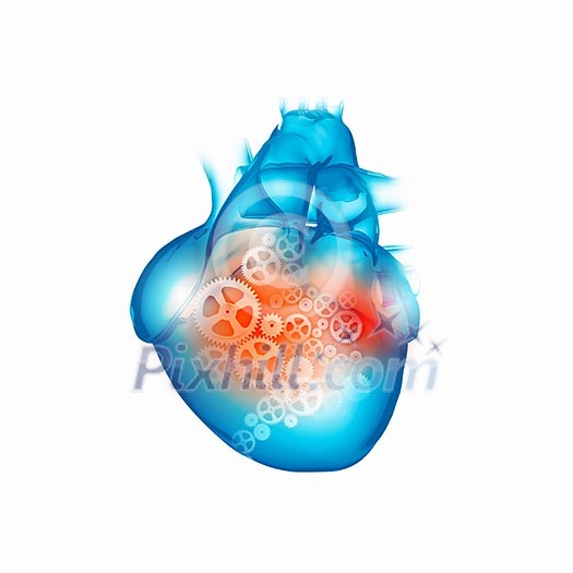 Human heart with cog and gear mechanisms against white background