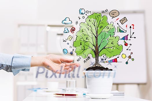 Close-up image of human hand and pot with money tree