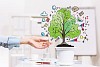 Close-up image of human hand and pot with money tree