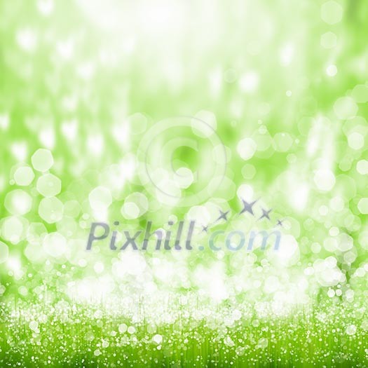 Green summer meadow with sun glare and rays Green summer meadow with sun glare and rays