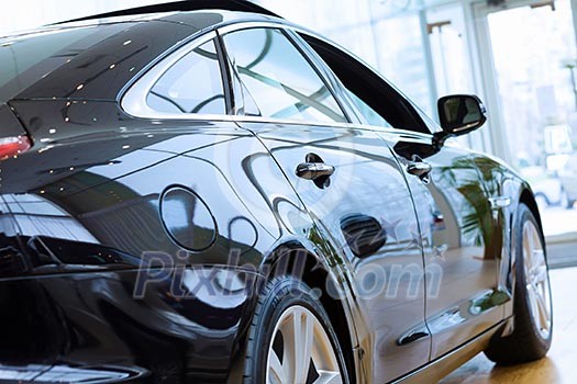Back view of automobile in sales salon Back view of automobile in sales salon