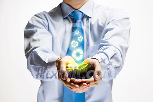 Young green sprout in human hands. Ecology concept Young green sprout in human hands. Ecology concept